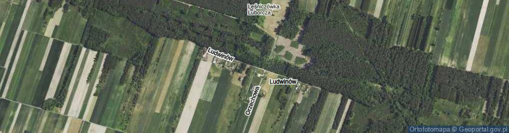 Zdjęcie satelitarne Ludwinów ul.